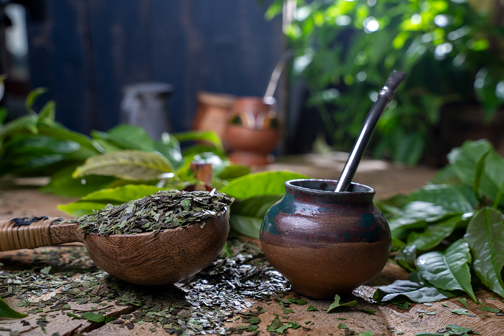 Guayusa Tee – milder als Mate Tee
